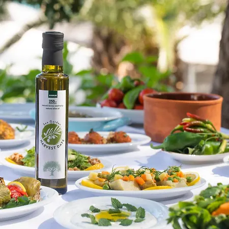 מלון דירות Hapimag Sea Garden