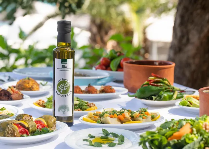 Aparthotel Hapimag Sea Garden