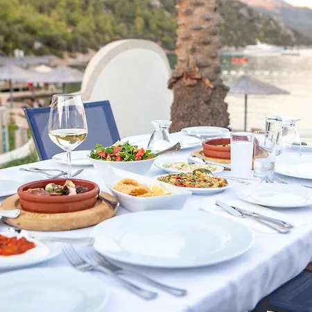 هابي ماغ سي غاردن